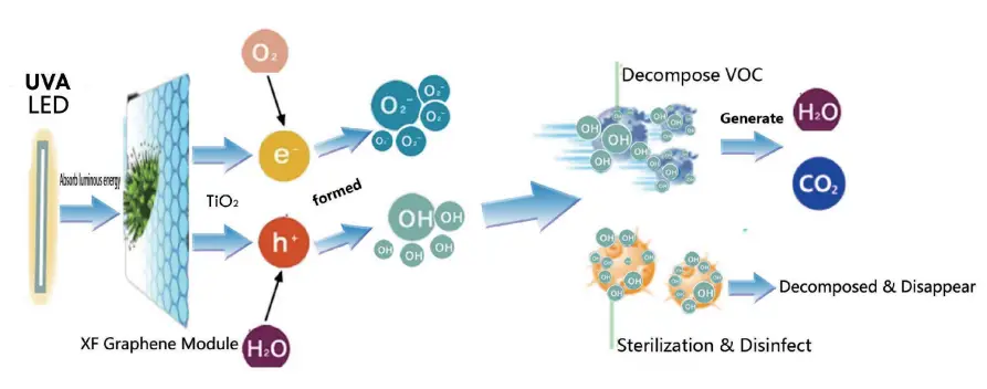 Xinfeng-2d-4E25959G01-Air-Purification-Device-1