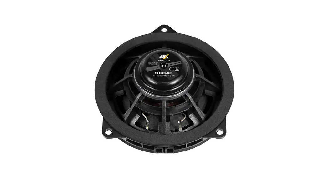 Esx Sxb42 Signum Coaxial Speakers Instructions