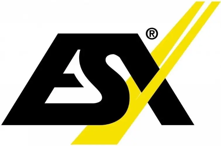 ESX logo