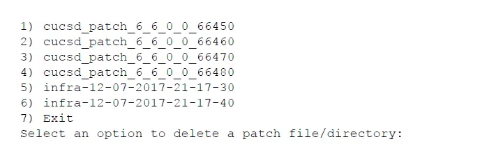 cisco-UCS-Director-Shell-fig- (3)