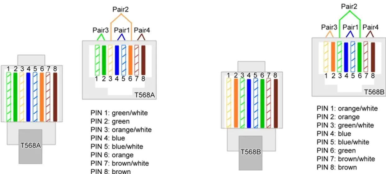 AVPro edge AC DANTE E 2 Channel Analog Audio Input Dante Encoder - Dante Port Wiring