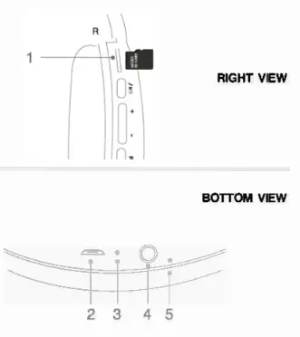 fingers Sugar-n-Spice Pro Wireless BT Headset-Connections