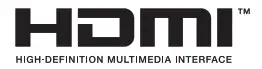 HDMI