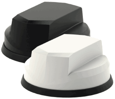 PANORAMA SW3 919 Paintwork and Headliner