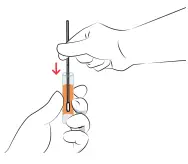 GENETWORx COVID 19 Nasal Swab Test Kit - Stap 10