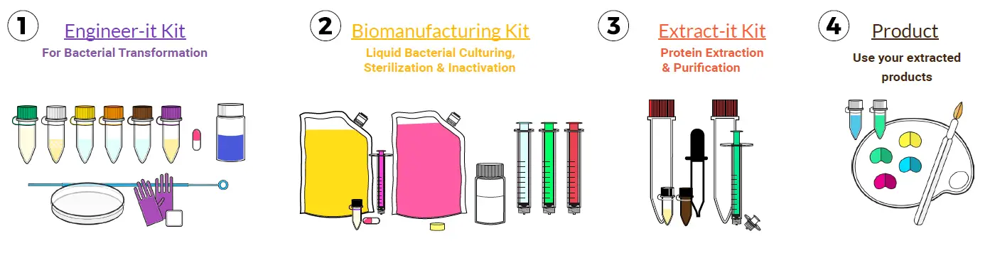 aminolabs DNA Playground BioExplorer Minilab-16