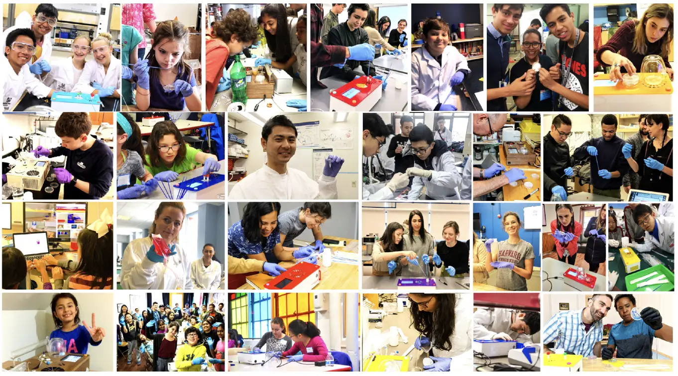 aminolabs DNA Playground BioExplorer Minilab-17