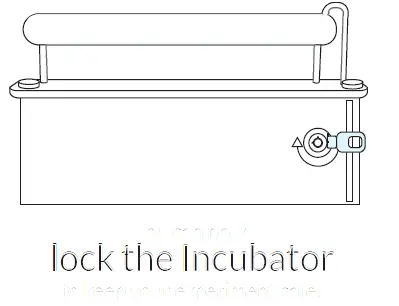 aminolabs DNA Playground BioExplorer Minilab-5