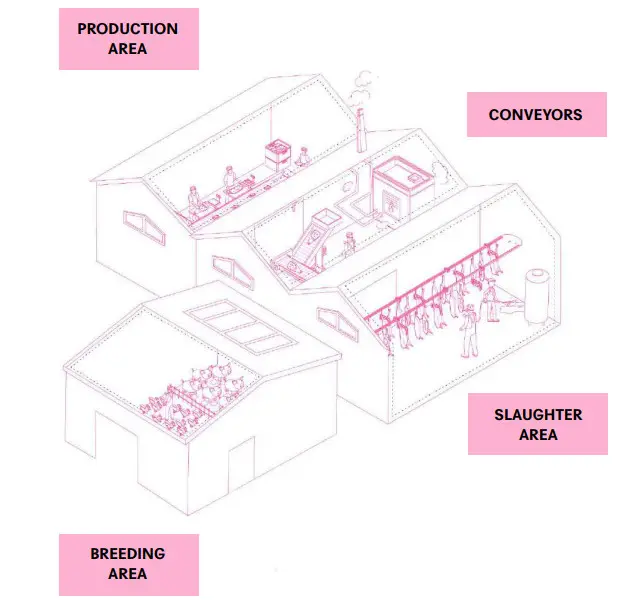EYE LIGHTING Sammode Meat Processing Light - Figure 6