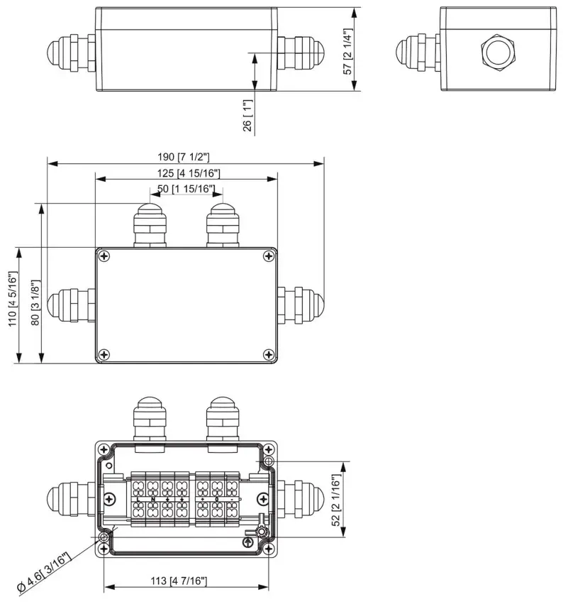 Anolis Calumma S MC LED Lighting - FIGURE 13