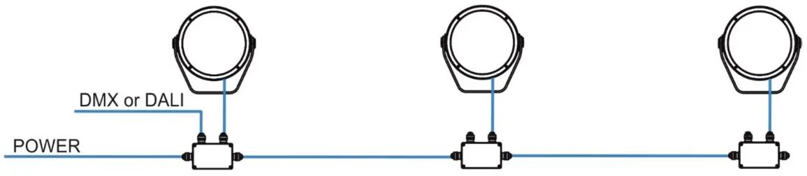 Anolis Calumma S MC LED Lighting - FIGURE 5