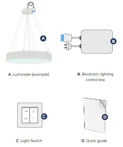 BRAINLIT-Biocentric-Lighting-Set for-Office-01