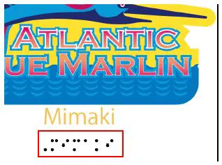 Mimaki-Flatbed-LED-UV-Printer-Braille-Print-FIG-5