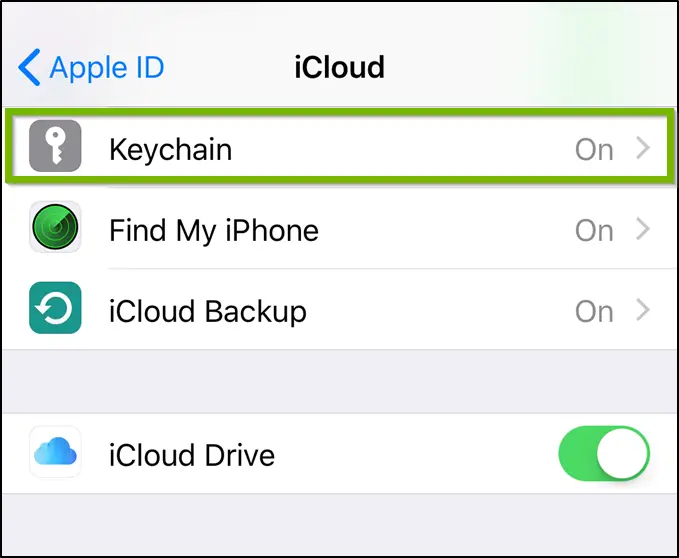 iCloud settings menu with keychain option highlighted.