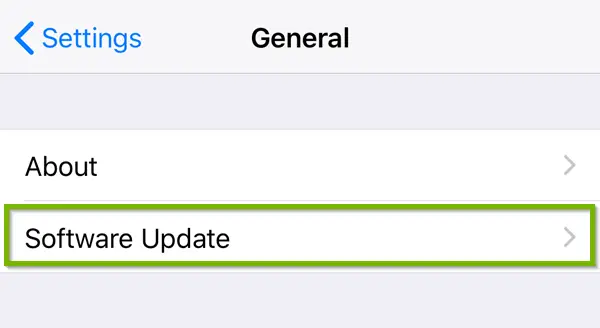 iOS general settings menu highlighting software update.