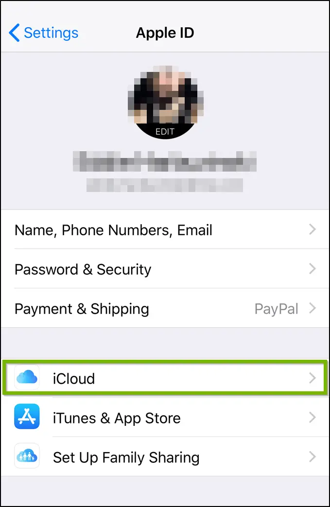 iOS iCloud user menu highlighting the iCloud option.