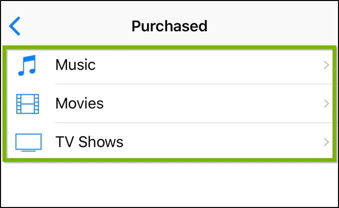 iTunes purchased menu displaying media categories.
