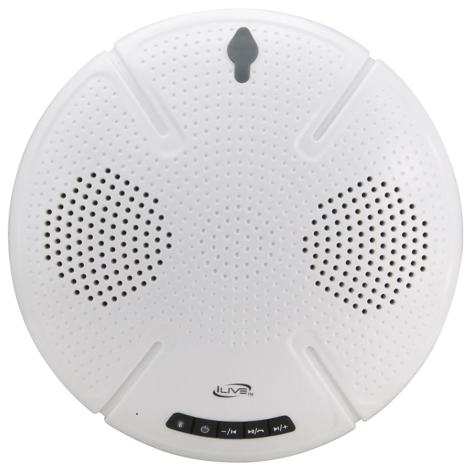 iLIVE ISBW322 Waterproof Floating Bluetooth Speaker image