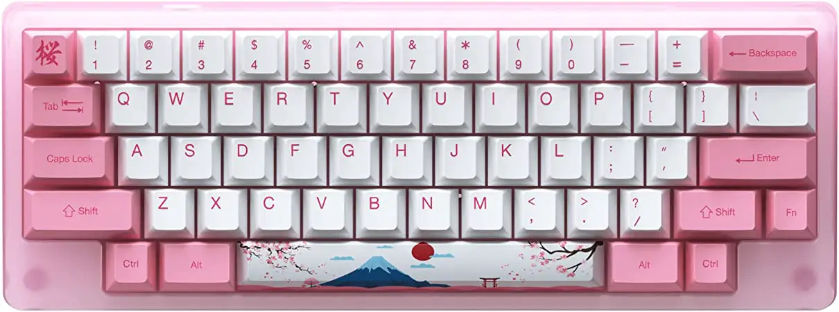 AKKO Acrylic 59 Tokyo 59 Keys 60% Wired RGB Mechanical Gaming Keyboard