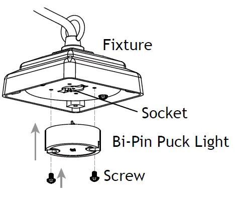 AMP Lighting Low Voltage Landscape Lighting fig3