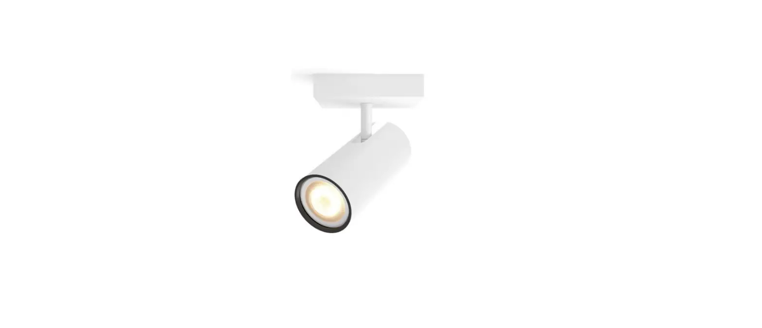 Philips 50462-p7 Hue Buratto Ceiling Light User Manual