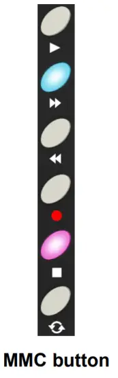 WORLDE ORCA PAD48 MIDI Controller - MMC button