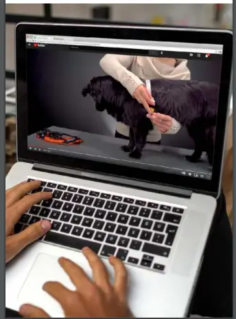 JULIUS-K9 IDC Power Harness-fig2