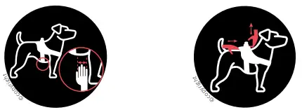 JULIUS-K9 IDC Power Harness-fig6