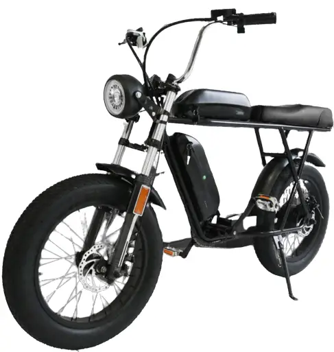 DAYMAK Phoenix Electric Bike
