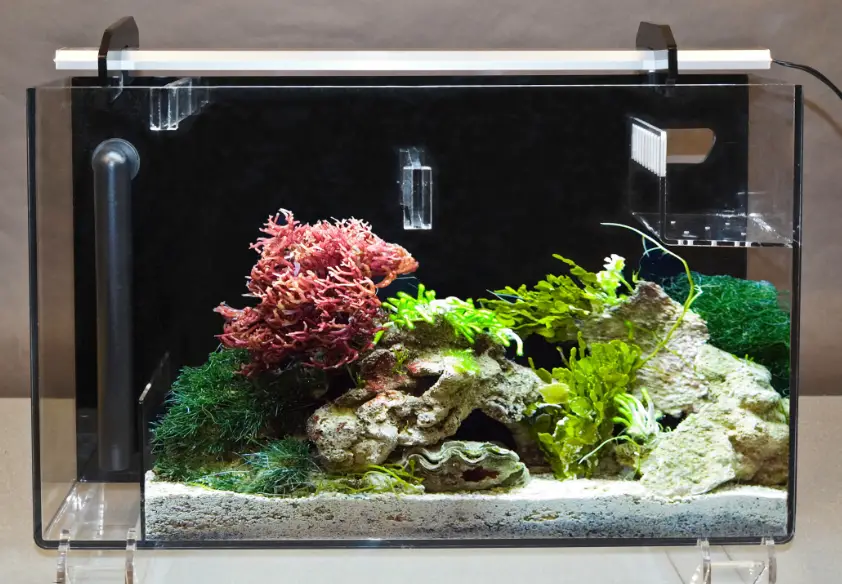 AquaFuge 2 Hang On Refugium