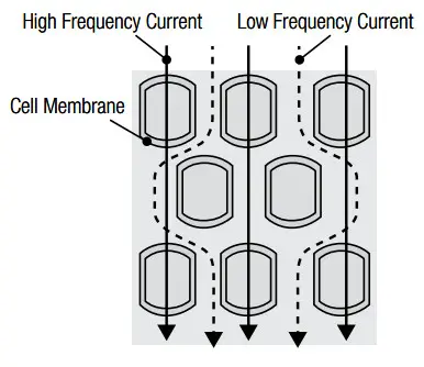 ANITA RD-953 innerScan Dual Multi-Frequency Body Composition Monitor - Fig 36