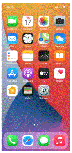 Apple iPhone XR - Setup internet fig-1
