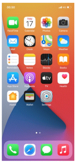 Apple iPhone XR - Setup internet fig-6