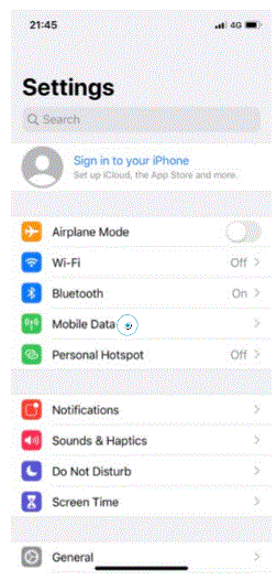 Apple iPhone XR - Setup internet fig-7