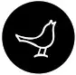 Little Bird - Logo
