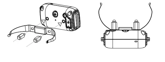 dogtra 650 Dog Training Collar Comfortable