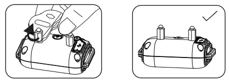 dogtra 650 Dog Training Collar prepare