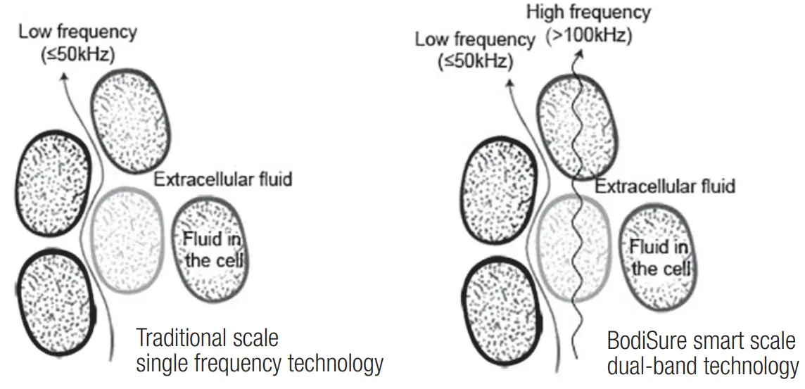bodisure BBC100-BK WH Smart Body Composition Scale - 1