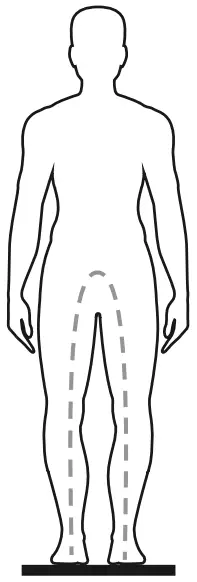 bodisure BBC100-BK WH Smart Body Composition Scale - 12