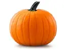 Pumkin
