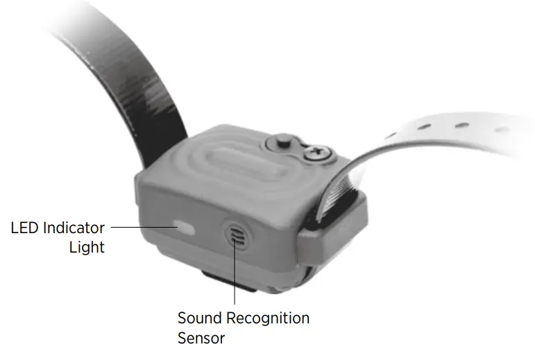 Dogtra B0881YC6TB iQ VIBE No Bark Collar - figure 2