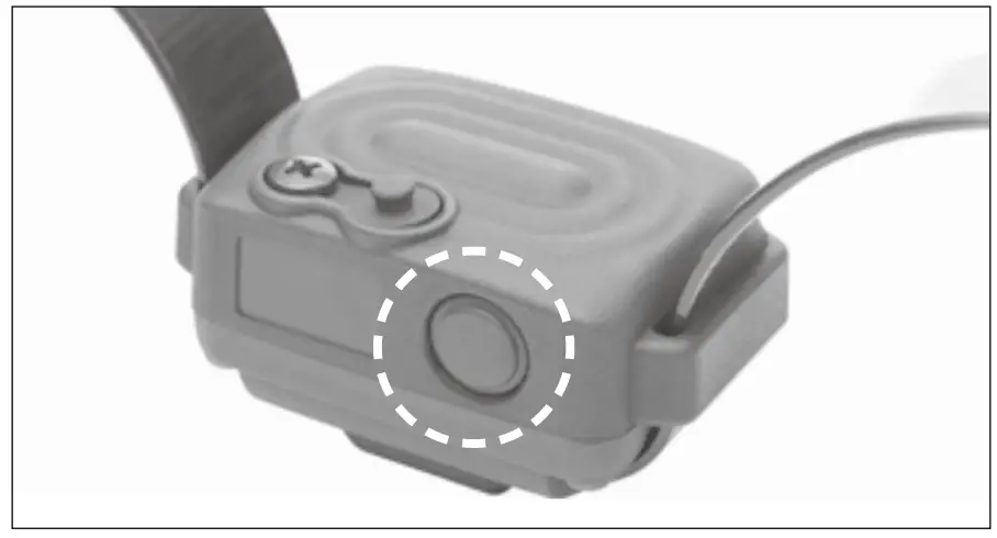 Dogtra B0881YC6TB iQ VIBE No Bark Collar - figure 3