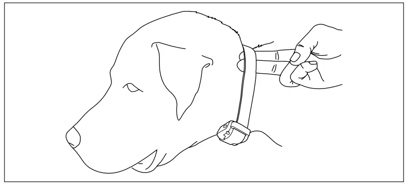 Dogtra B0881YC6TB iQ VIBE No Bark Collar - figure 5