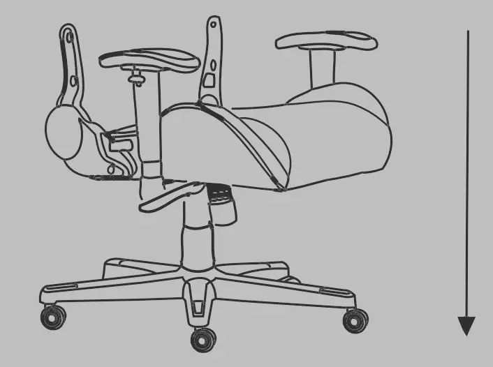 Assembly Instruction