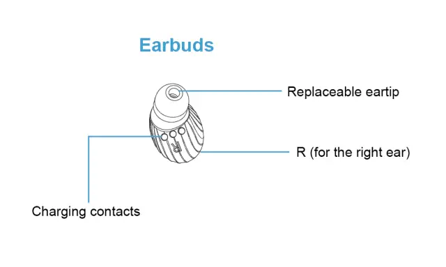 Earbuds