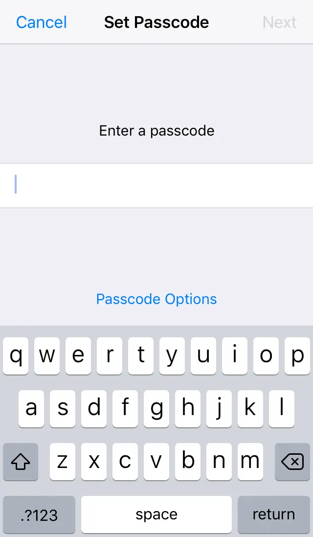User being prompted to enter an alphanumeric passcode. Screenshot.