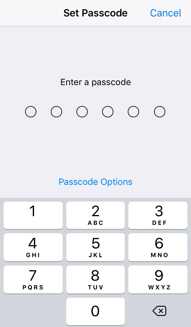 User being prompted to enter a 6 digit passcode. Screenshot.