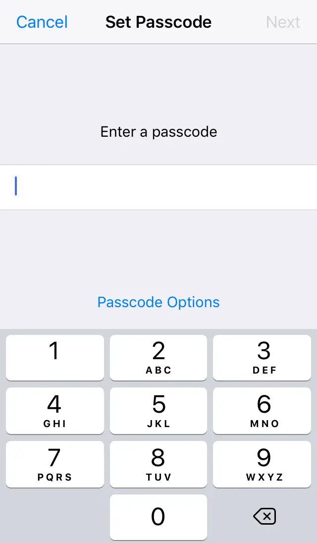 User being prompted to enter a numeric passcode. Screenshot.