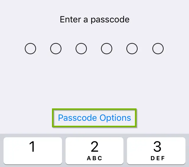 User being prompted to enter a 6 digit passcode. Passcode options highlighted. Screenshot.
