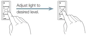 RA2 SELECT RRQ P20-240 Plug-In Lamp Dimmer - figure 10